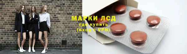 молекула духа Арсеньев