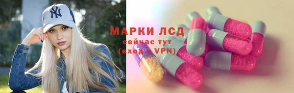 крисы Армянск