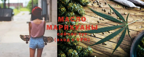 молекула духа Арсеньев