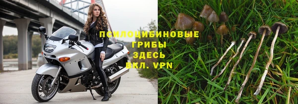 молекула духа Арсеньев