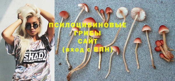 молекула духа Арсеньев