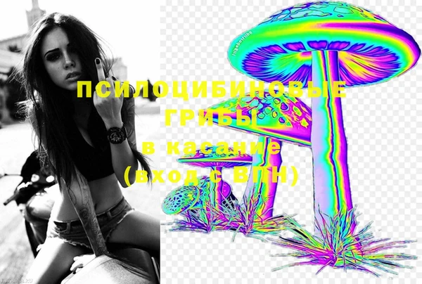 крисы Армянск
